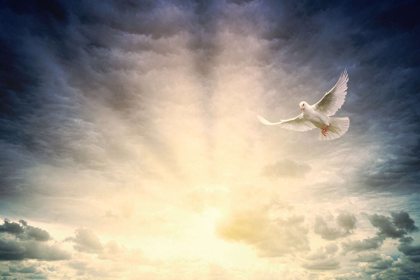 Guardian Aura: Powerful Protection Ritual for You, Your Sacred Space or Your Loved Ones. Very Fast - 100% Success Rate